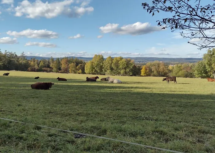 Hájovna Libice Appartamento Rybniky (Pribram)