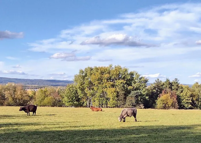 Hájovna Libice Rybniky (Pribram)